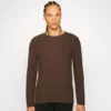 JACK&JONES Premium Jack & Jones PREMIUMJPRBLUCARLOS CREW NECK - Stickad Tröja - Hot Fudge